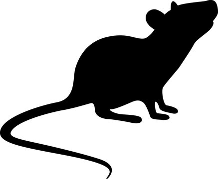 recommend clip art: Rat silhouette. Vector illustration