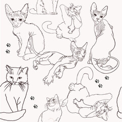 Cat pattern, food, tracks. Seamless illustrations of pets clipart for pet shops, as a blank for designer, logo, icon, pet food, textile