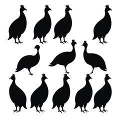 Set of guinea fowl birds animal Silhouette Vector on a white background