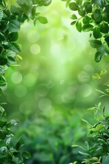 green nature background 