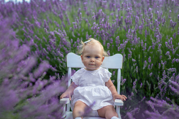 baby girl in a field of lavender on sunset.