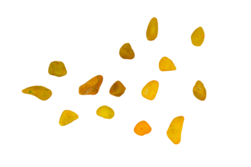 abstract background with circles isolated on a transparent background