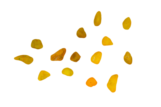 abstract background with circles isolated on a transparent background