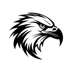 Obraz premium eagle head vector
