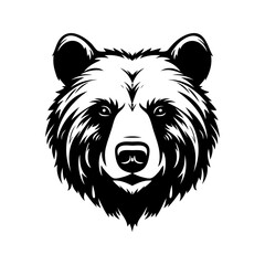 illustration of a bear