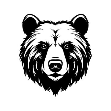 illustration of a bear