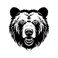 illustration of a bear