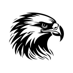 Obraz premium eagle head isolated on white