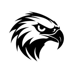 Obraz premium eagle head mascot