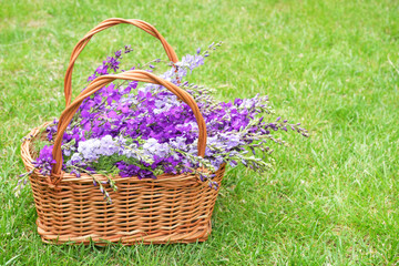 Flowers bouquet in wicker basket in garden. Abstract natural green background. Spring, summer...