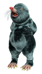 3D Rendering Mole Animal on White