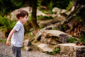 Curious young boy in a gray t-shirt and denim shorts exploring a rocky area surrounded by greenery....