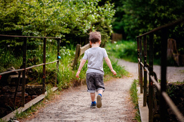 Young boy in a gray t-shirt and denim shorts walking along a rustic pathway surrounded by lush...
