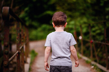 Young boy in a gray t-shirt and jeans, walking away on a rustic bridge, surrounded by lush greenery.
