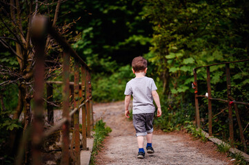 Young boy in a gray t-shirt and jeans, walking away on a rustic bridge, surrounded by lush greenery.