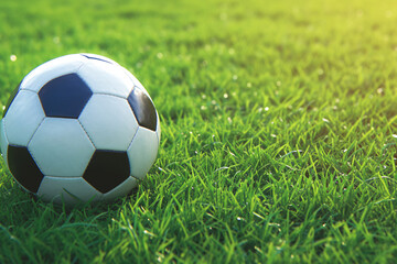 Fototapeta premium A soccer ball on a sunlit green field with a bright background