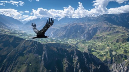 A majestic bird soaring over a picturesque mountain valley. Ideal for nature and travel concepts
