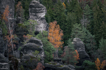 Autumn in The Saxon Switzerland National Park, or Nationalpark Sächsische Schweiz in Germany. Fall...