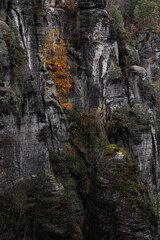 Autumn in The Saxon Switzerland National Park, or Nationalpark Sächsische Schweiz in Germany. Fall colors. 