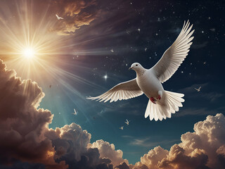 Obraz premium dove flying in the sky