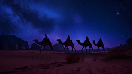 camels walking at night