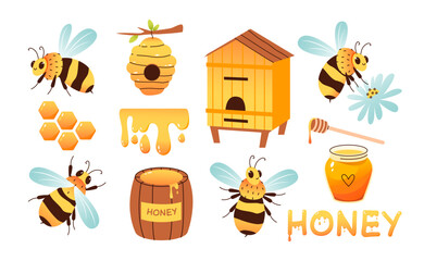 Bee, honey and hive. Beekeeping vector illustration set. Cute bees in different poses