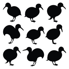 Set of kiwi bird birds animal Silhouette Vector on a white background