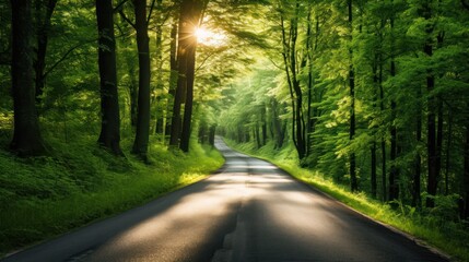 Naklejka premium asphalt road disappearing into a lush green forest 