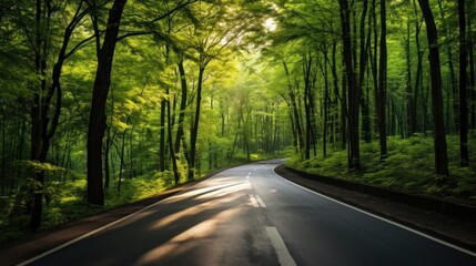 Fototapeta premium asphalt road disappearing into a lush green forest 