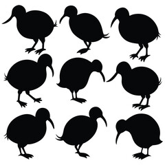 Set of kiwi bird birds animal Silhouette Vector on a white background