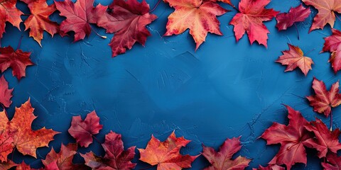 Autumn Background With Colored red leaves on blue. Fall backdrop border made with red leaves. Wide banner template with copy space for text. Top view. Autumn composition. Thanksgiving day flat lay
