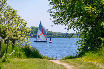 Segelboot mit Spinnaker auf der Flensburger förde