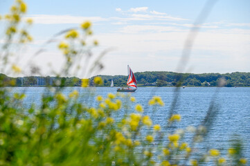 Segelboot auf Flensburger F&ouml;rde im Fr&uuml;hling