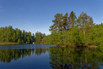 Obraz premium The small wooded Island on the northern margins of the Glen Ogil Reservoir high up in the Angus Glens on a clear bright morning in May.