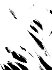 paint brush stroks black and white texture for creative designs