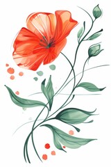 Red Flower With Green Leaves on White Background