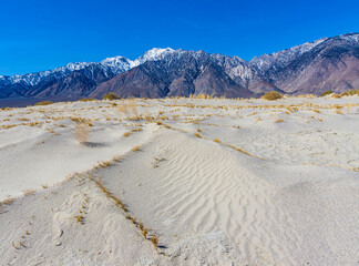 Sand Dunes With The Snow Capped Sierra Nevada Mountains, Olancha Dunes, California, USA