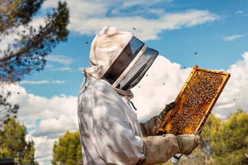 Beekeeper examining a honeycomb on a sunny day.