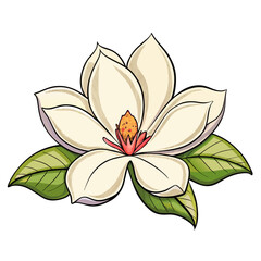 Magnolia flower cartoon style Icon Vector clipart Illustration
