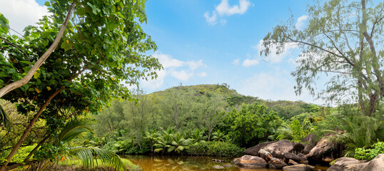 Lagoon surrounded by tropical vegetation and rocks