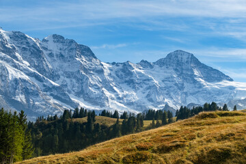 Obraz premium Idyllic summer panorama landscape in the Alps with fresh green meadows and snowcapped mountain tops in the background. Switzerland