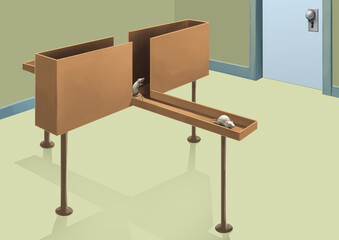 a type of system for carrying out laboratory tests with rats: Standard elevated plus maze (EPM) apparatus