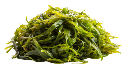 A fresh green seaweed, a healthy vegetarian option