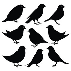 Set of passerine birds animal Silhouette Vector on a white background