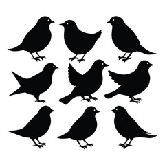 Set of passerine birds animal Silhouette Vector on a white background