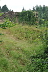 Old Overgrown Ruined Stone Building on Hill Obscured by Grass 
