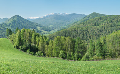 Green meadows and forests, spring, evening light, hilly countryside