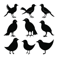 Set of rail birds animal Silhouette Vector on a white background