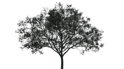 Black tree vector of living icons on a white background