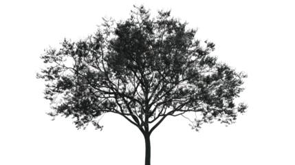 Black tree vector of living icons on a white background
